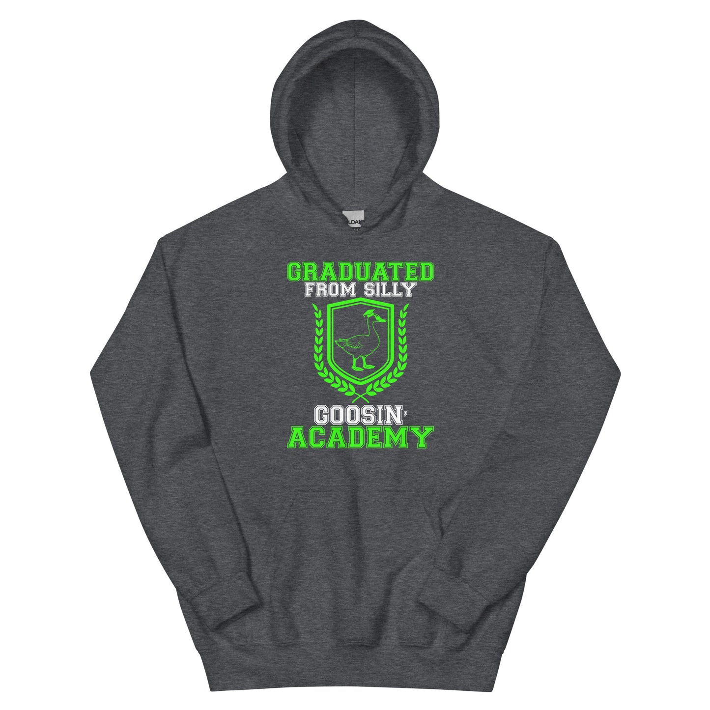 graduated hoodie